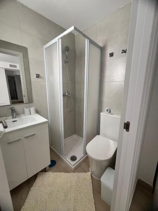 Apartment Atico San Pedro Centro Marbella