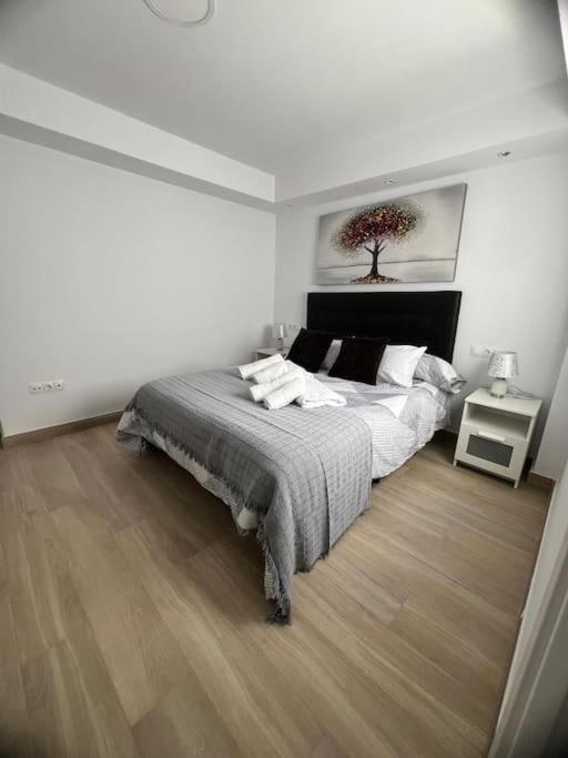 Atico San Pedro Centro Apartment Marbella